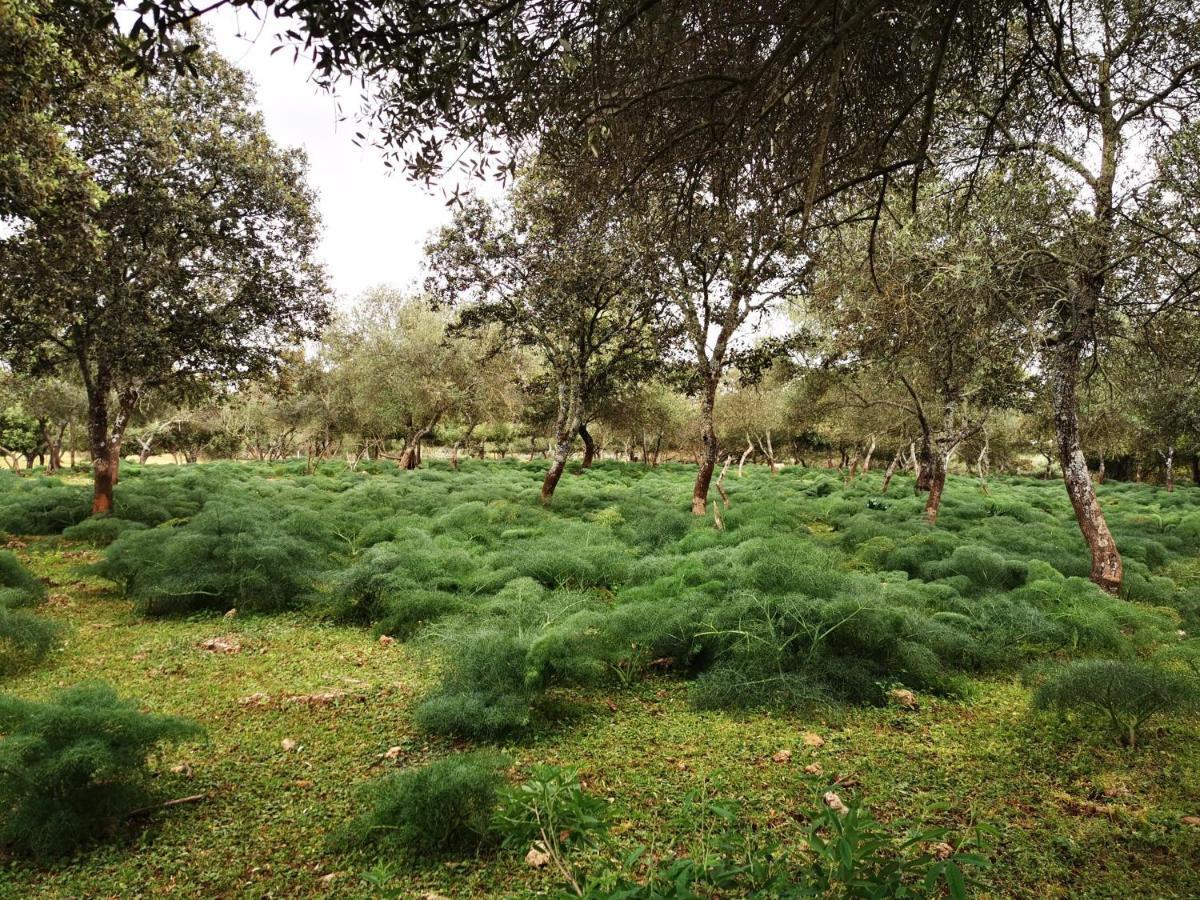 La Fuensanta Villa Hornachuelos Buitenkant foto