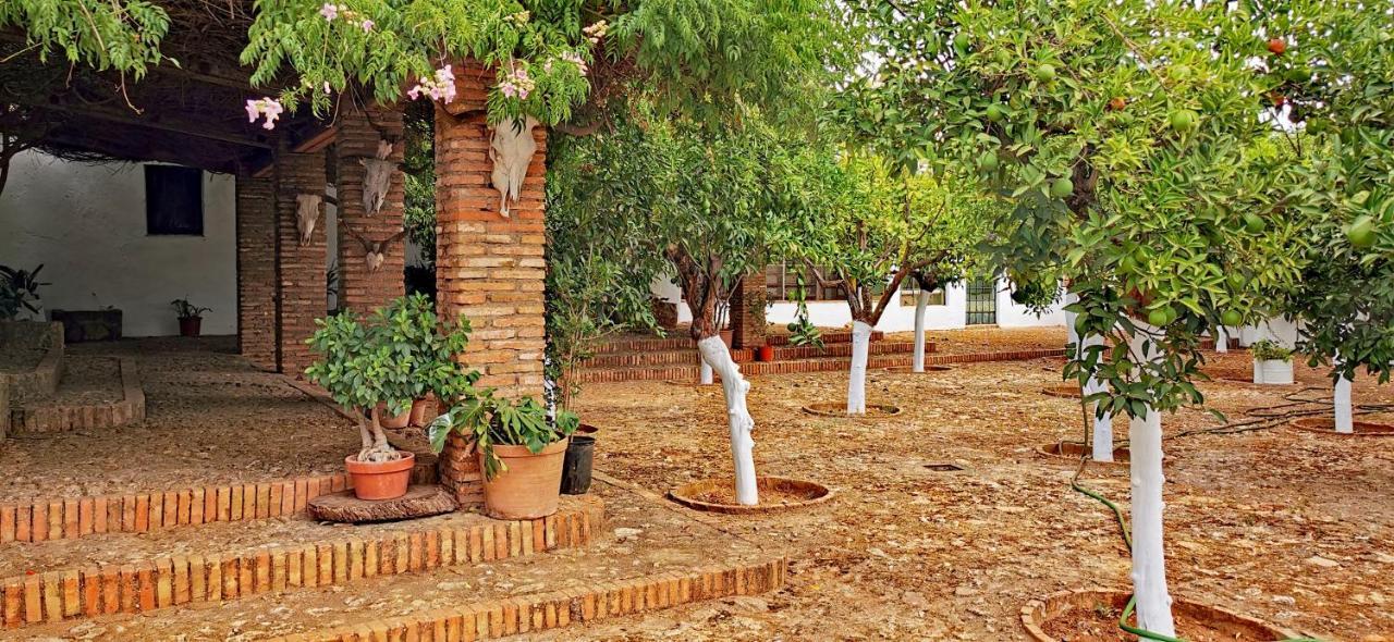 La Fuensanta Villa Hornachuelos Buitenkant foto